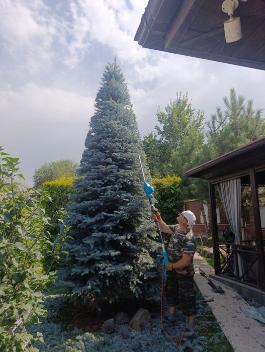 Услуги Садовника Алматы
