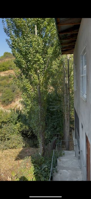 Дача сотилади бирчимулло Гулкам ресор йолида 400 метр етмасдан  видео