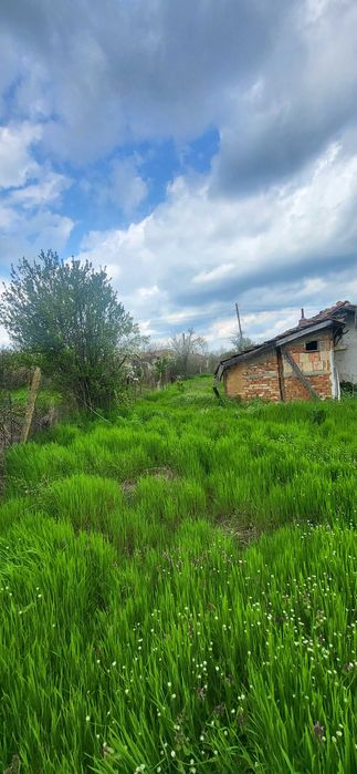 Продава се Земеделски имот в с. Княжево, Област Хасково -  кв.м за 6 €/дка - Снимка #2
