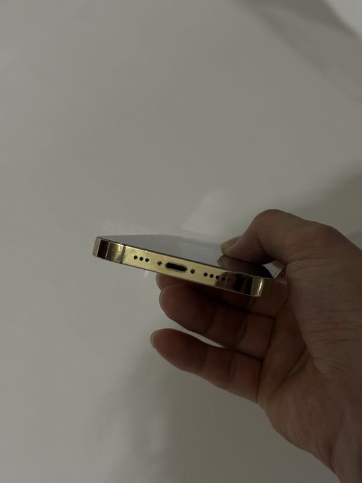 IPhone 13 Pro Gold 1 TB