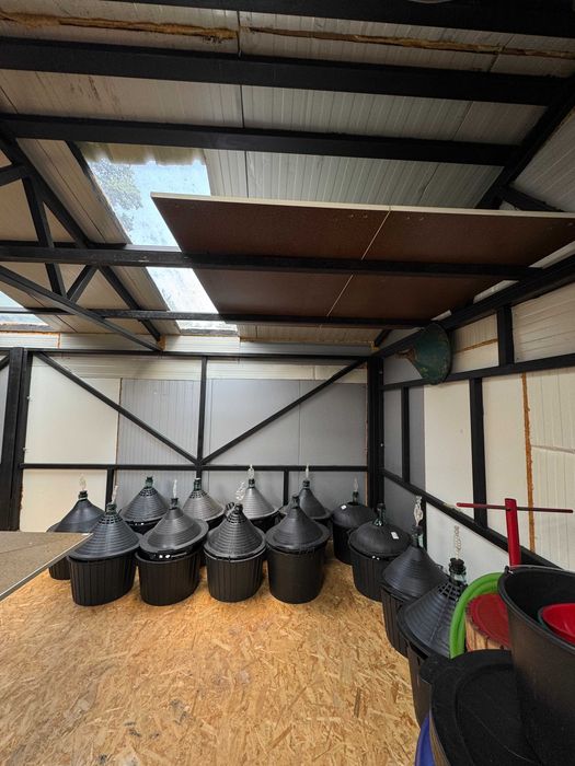 Damigeană sticlă 54L – Italia , cos protectie– stare impecabilă