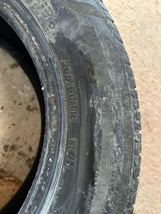 Шина жазгы летний