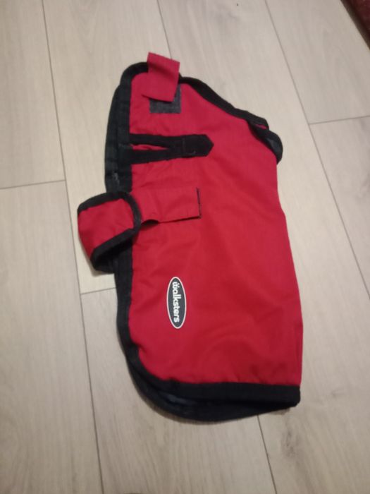 Haina catelus walksters