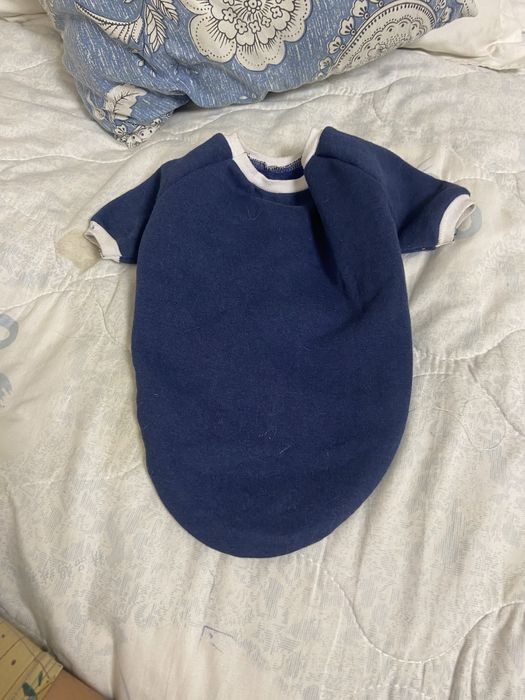 Одежда для котиков