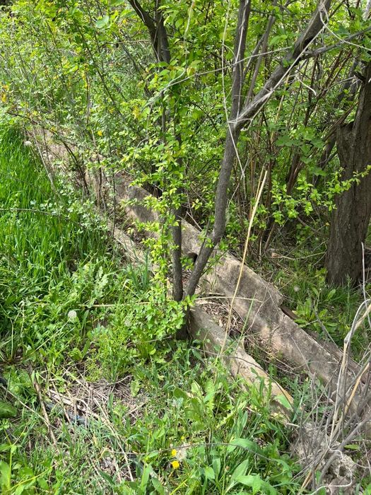 Дача в Арысь за Дендро парком