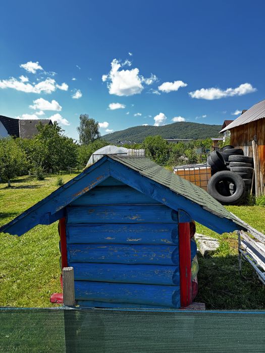 Cusca pentru caine din bârbe