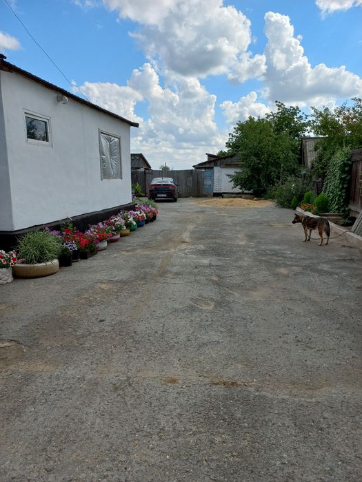 Продам дом в 100 км от Костаная