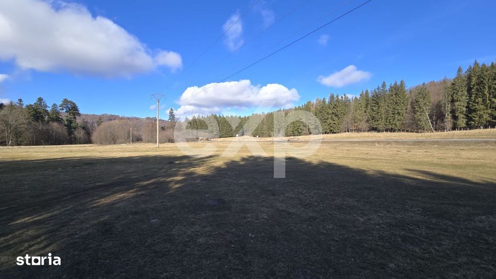 Teren extravilan 19.200 mp – DN1A Sacele, Bradet | Front stradal 130