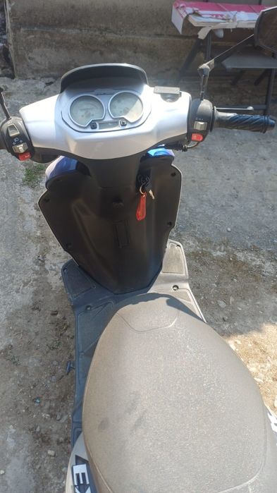 Scuter Explorer ( 49 cm)