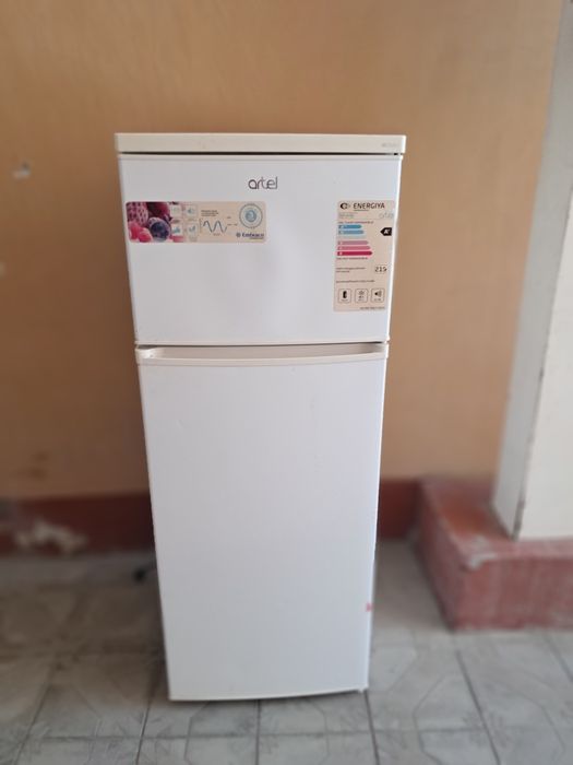 Artel holadenik sotiladi