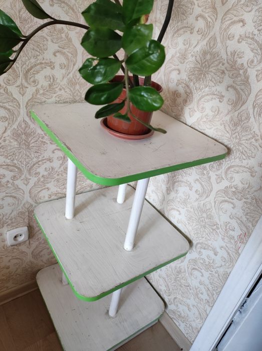 Комнатные цветы дешево