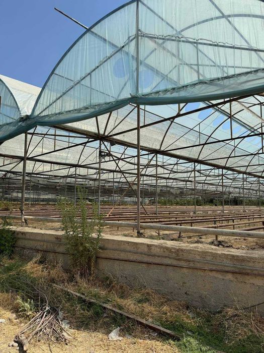 Иссикхона сотилади