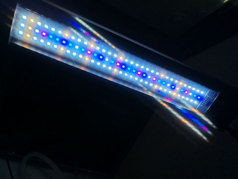 Acvariu DE Sera Biotop Cube XXL 130 cu dotari de top