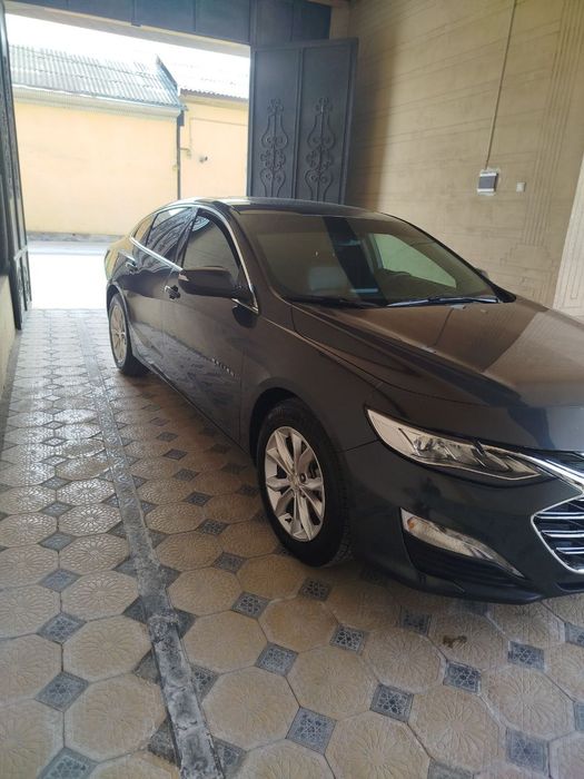 Malibu 2 primer tozza