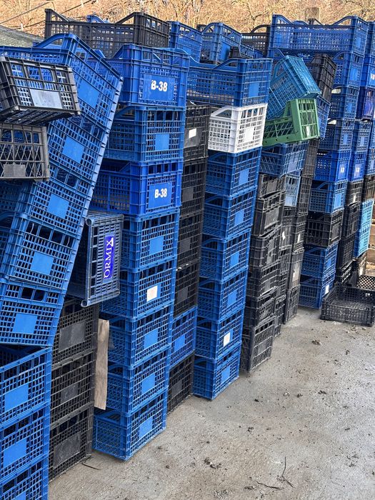 Lazi ladite pentru fructe de la prima utilizare