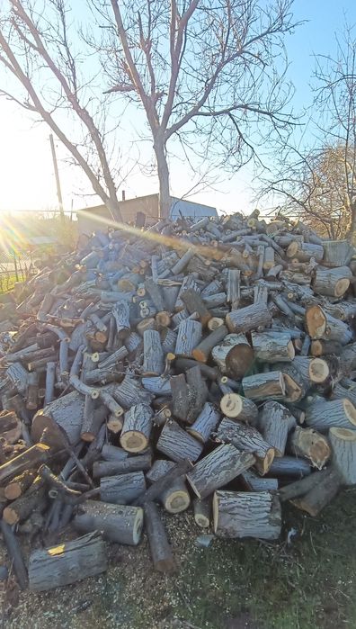 Отын бар дайын 4 камаз