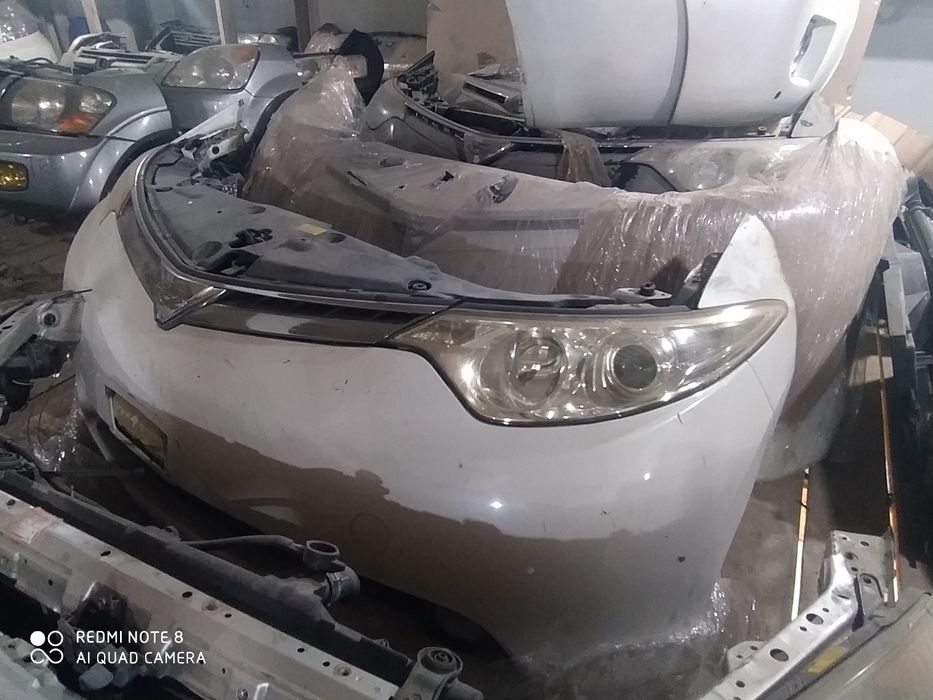 Ноускат Естима серого цвета