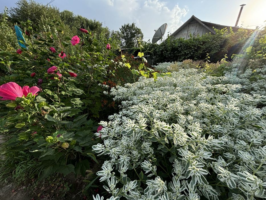 Продам дом в центре