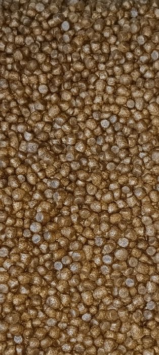 Экструдированный продукционный корм для форели