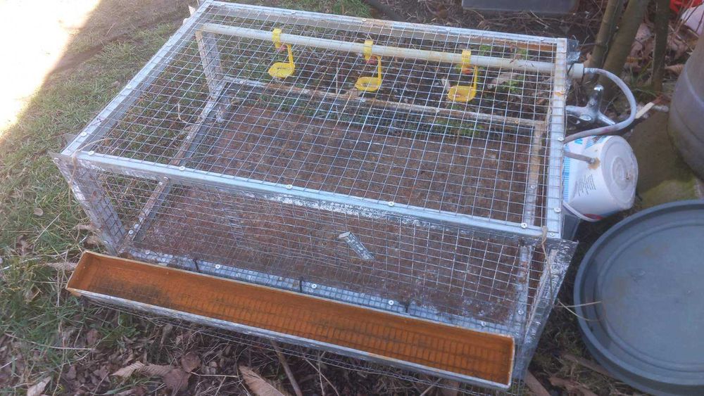 клетки за пъдпъдъци