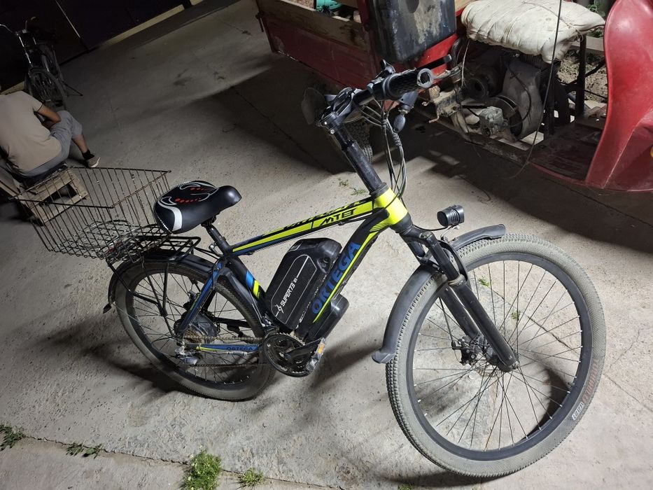 Электровилик ортега