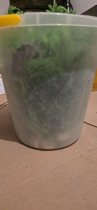 Изкуствена трева за аквариум