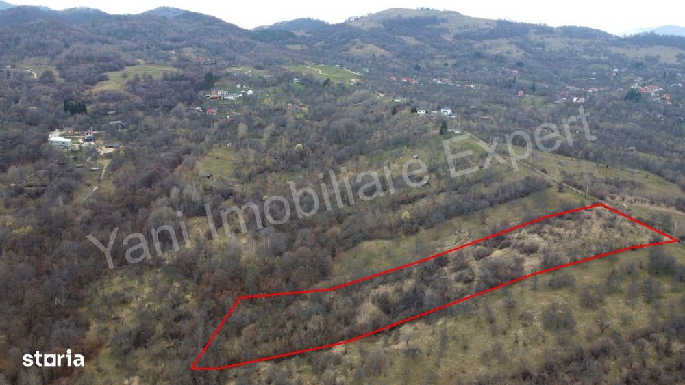 Teren de vânzare în comuna Nucșoara, județ Argeș.
