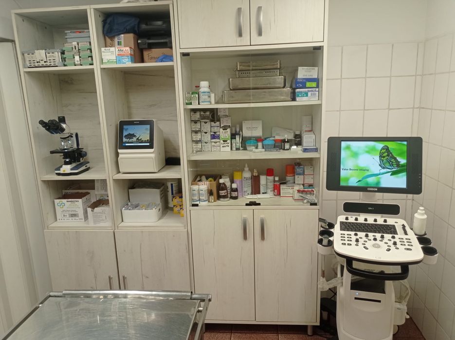 Cabinet veterinar ,recuperare prin fizioterapie