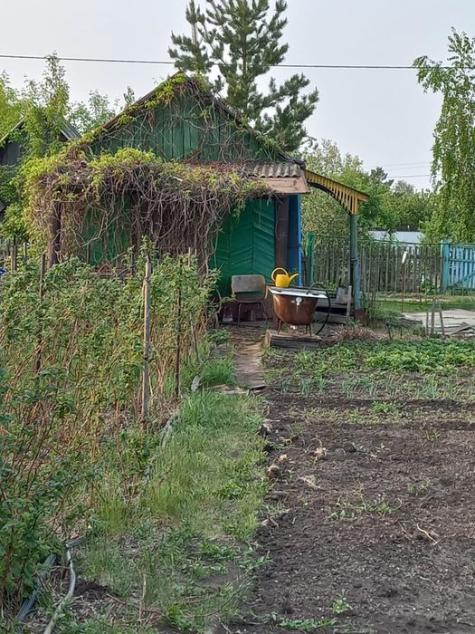 Продам дачу на дачном обществе «Гудок»