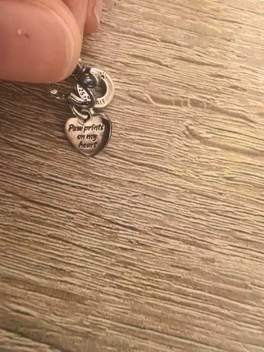 Bratara Pandora cu doua pandantive