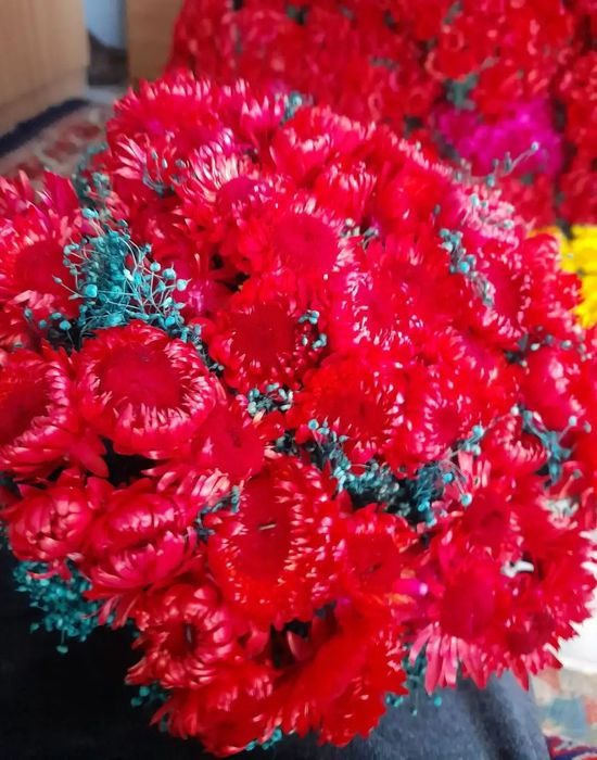 Flori nemuritoare(imortele)