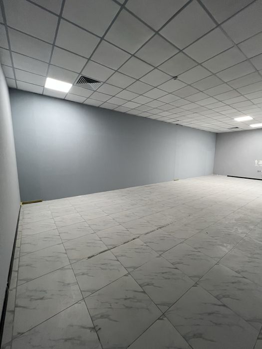 Офис около метро Пушкина 120 квм