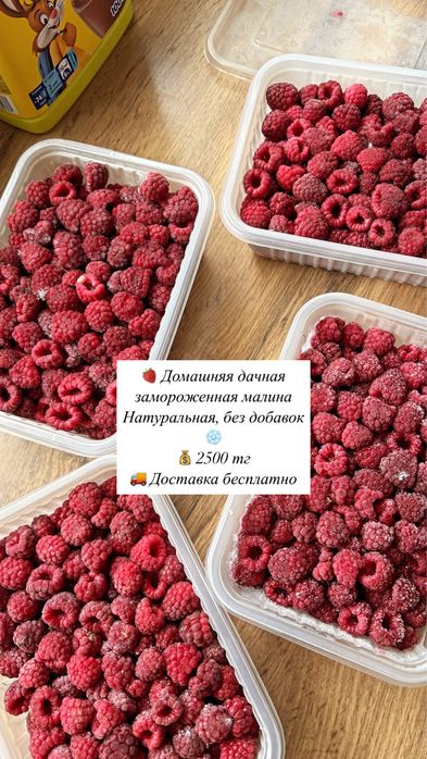 Малина 2500 дача