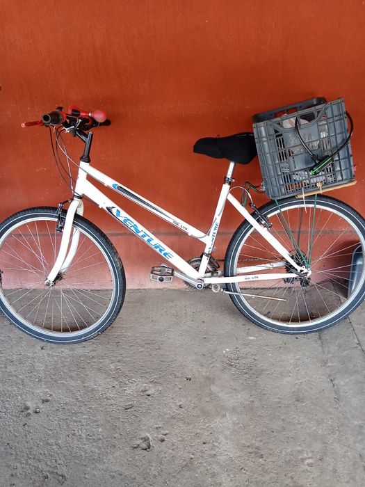 Biciclete adulți