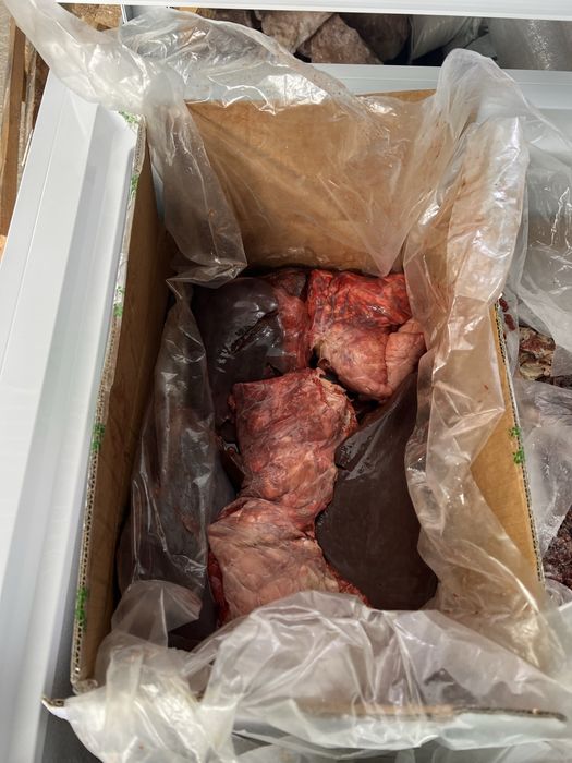 Косточки обрезь. сбой для собак.