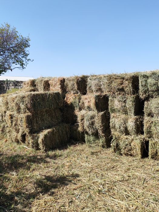 Beda  Makka sorgo aralash press sotiladi.
