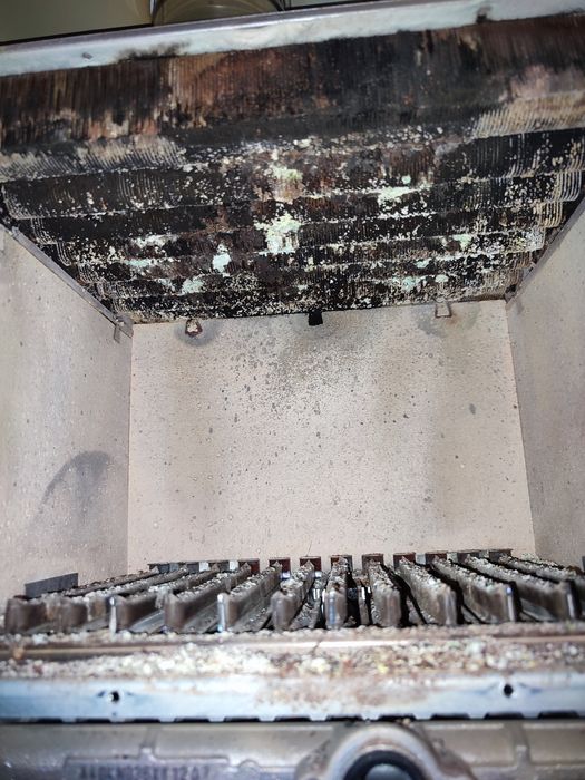 Чистка ремонт газовых котлов.