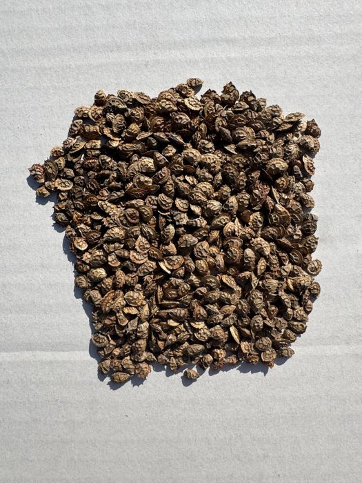 Vand samanta sparceta