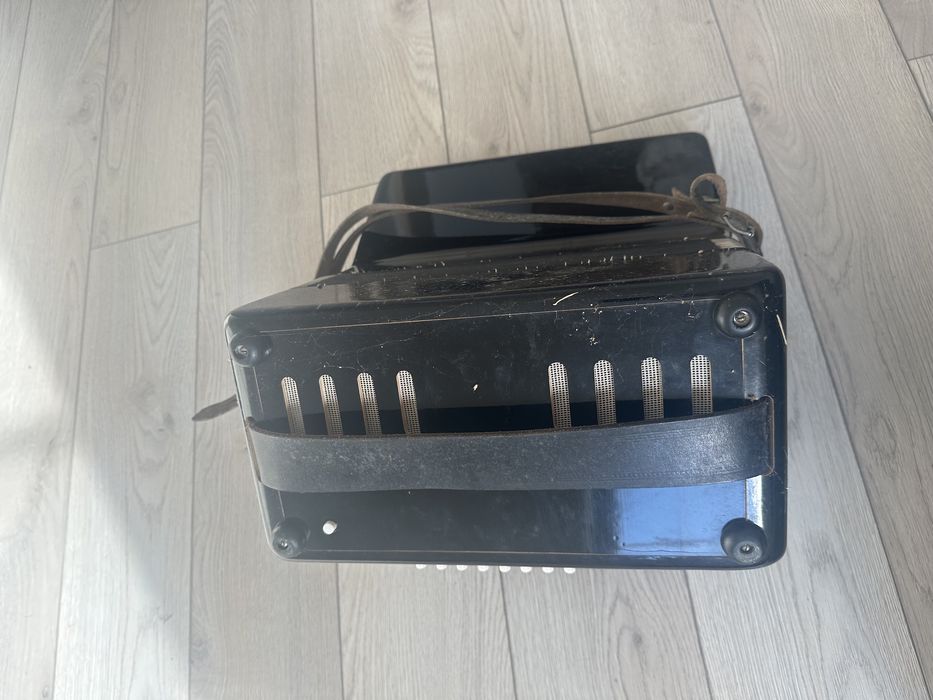 Acordeon weltmeister 1964