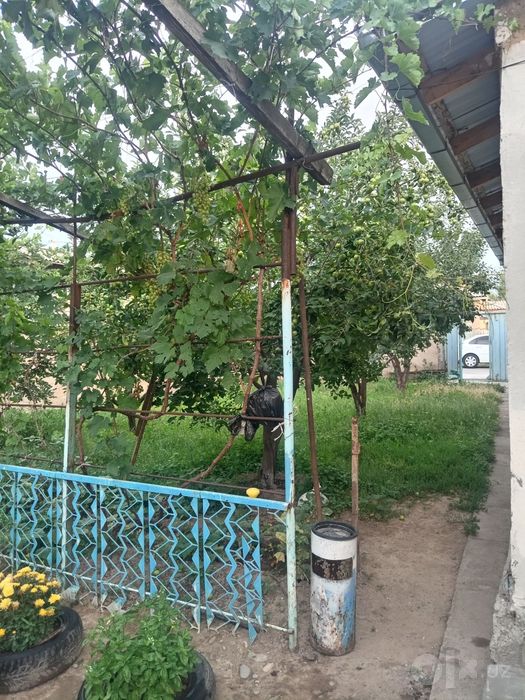 Продаётся дом в бостанлыксом районе