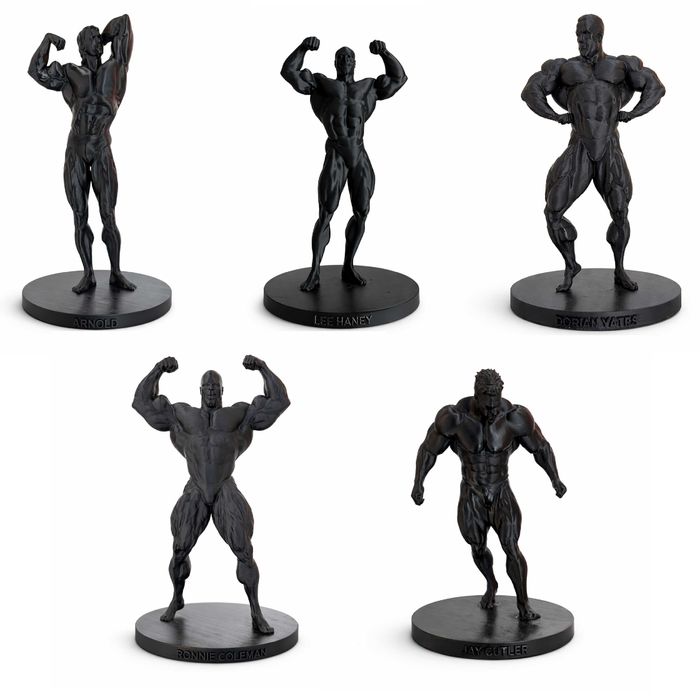 Mr.Olympia Arnold, Lee Haney, Dorian Yates, Ronnie Coleman, Jay Cutler