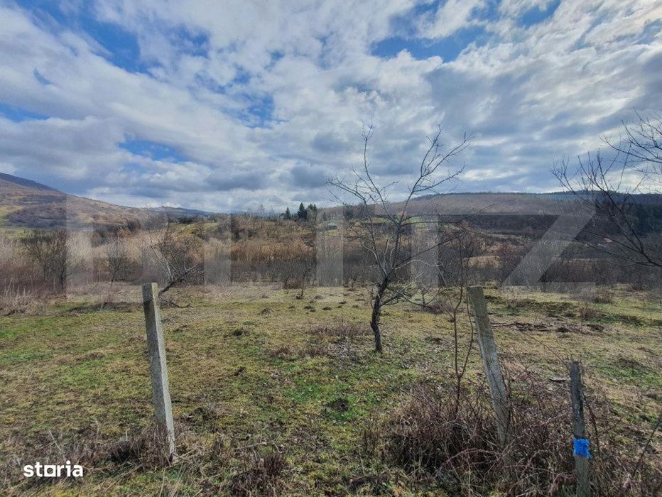 Teren extravilan, peste 80 de ari de vanzare in Bistrita, pe Valea Ghi