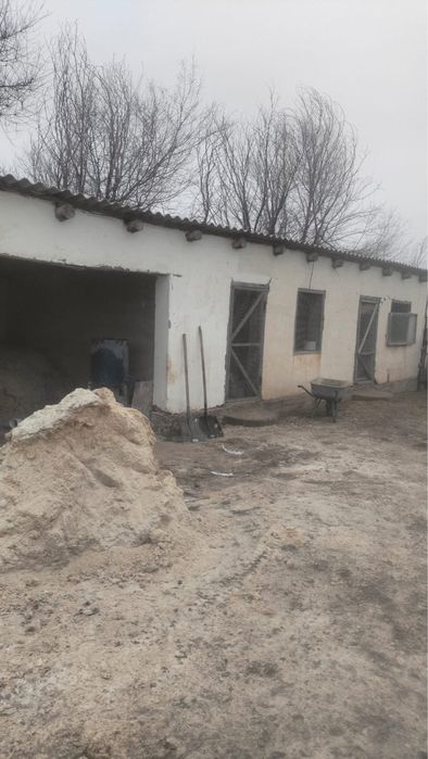 Фазенда на аренду и продажу