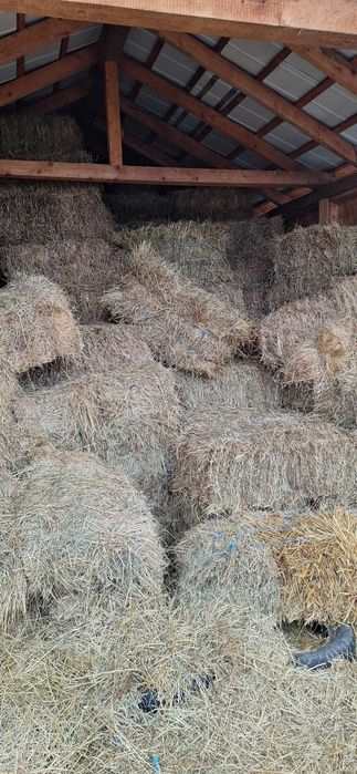 Baloti de lucerna coasele 2 si 3.