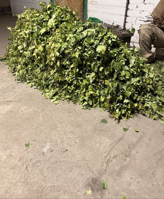 Берёзовые веники для бани