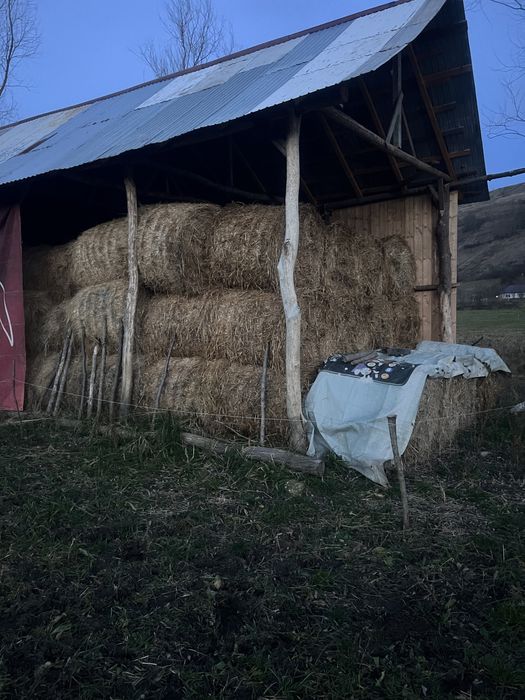 Baloti de paie ,orz si ovaz