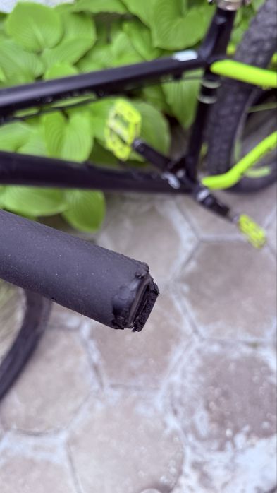 NS Bike Eccentric Djambo 1