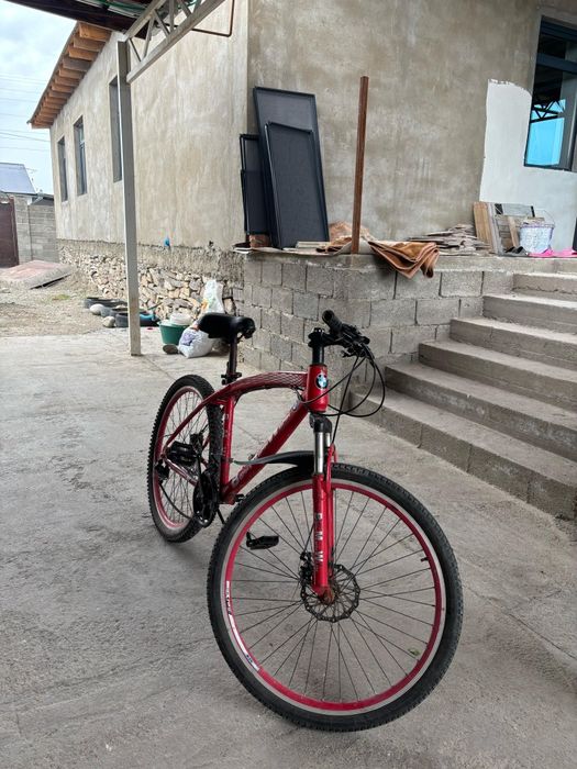 Велик беха спортивный