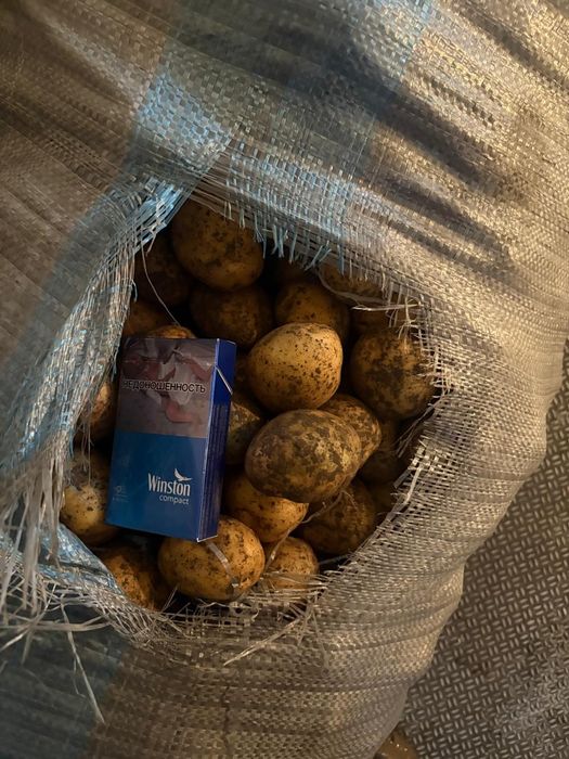 Коломбо семена 160 тг