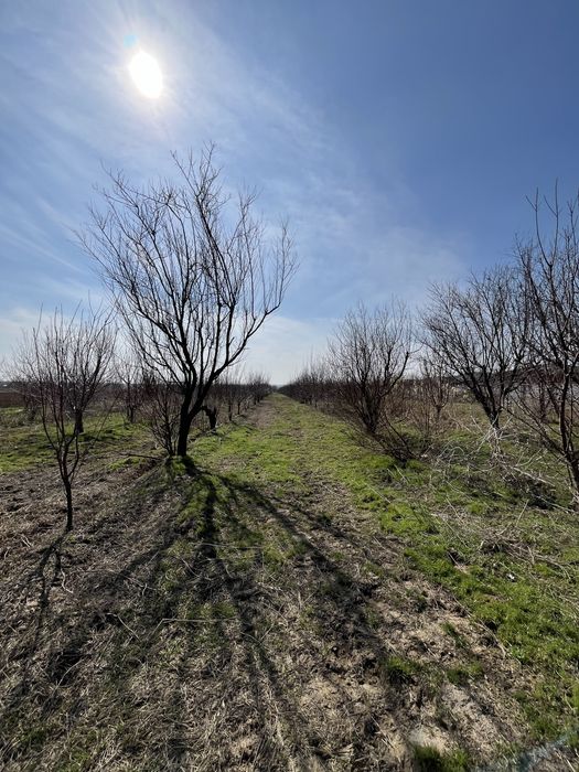 Продается участок под бизнес 2 гектара